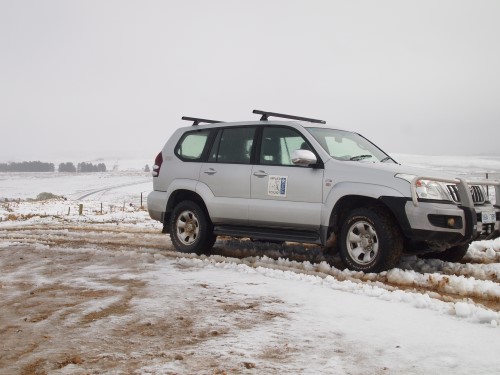 IAE 4WD in snow