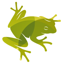 IAE LOGO