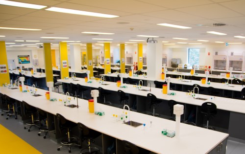 Mega Lab