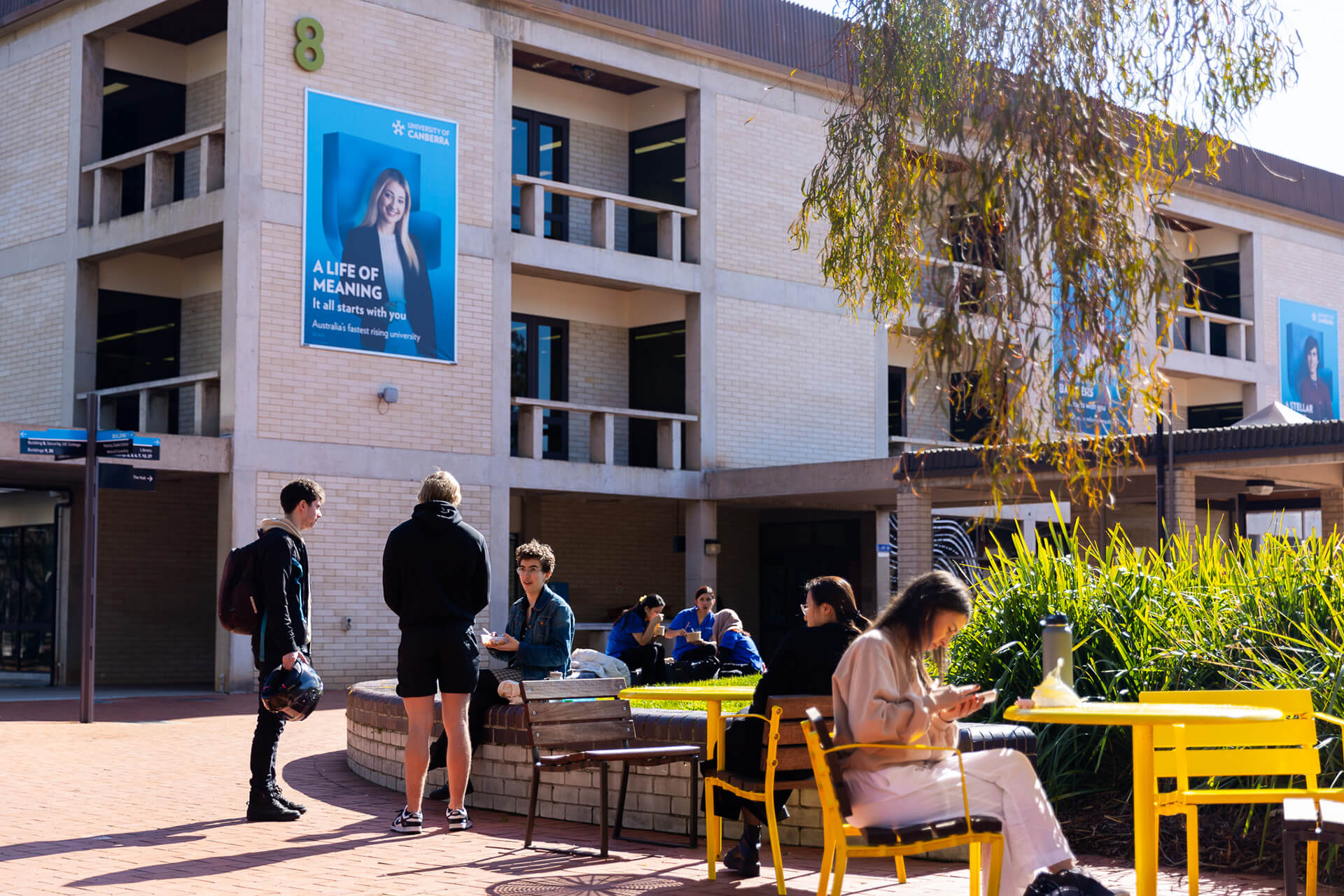 Library header