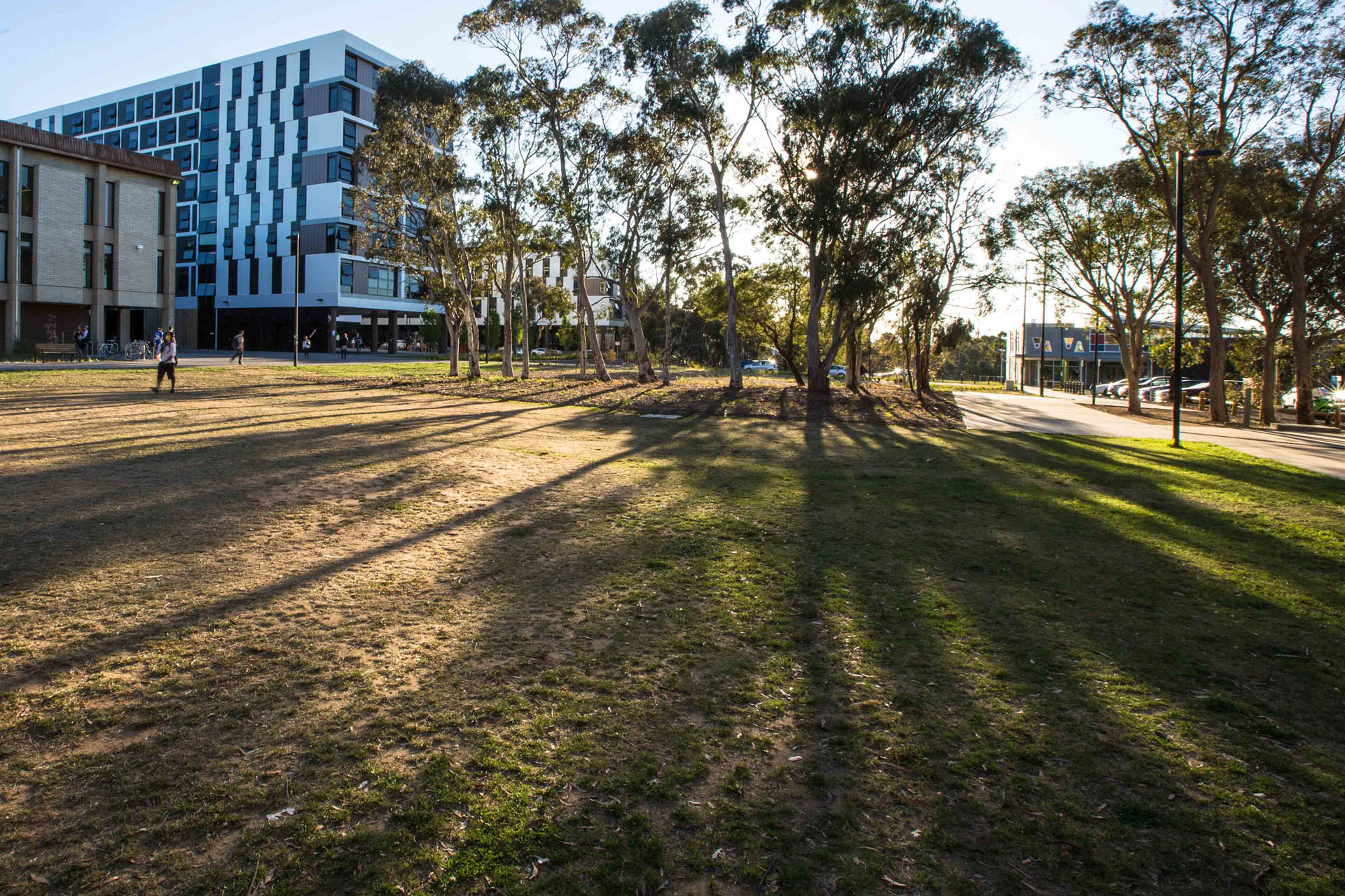 the sun setting over the cooper lodge residences