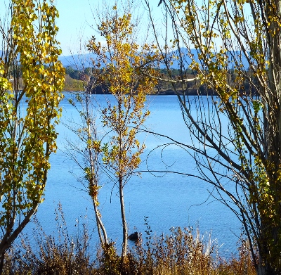 Canberra's Lake Burley Griffin glimpsed through trees