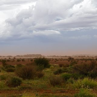 A scene of an Australian desert with a storm rolling in