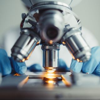 Research Results