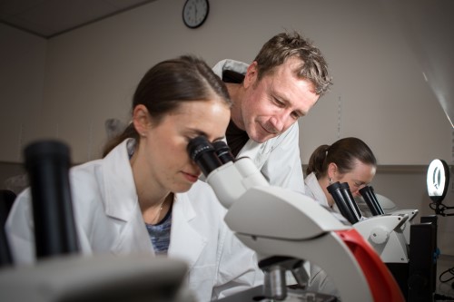 Forensics Lab