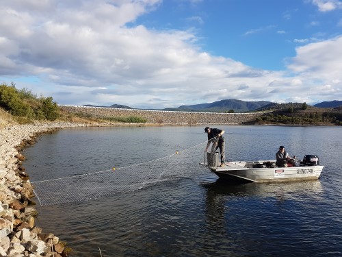 20170403_161346_Boat netting Cotter dam_Yugyen Lhendup