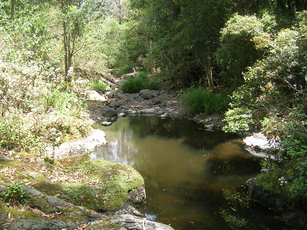 Headwater stream pool at Gap Creek
