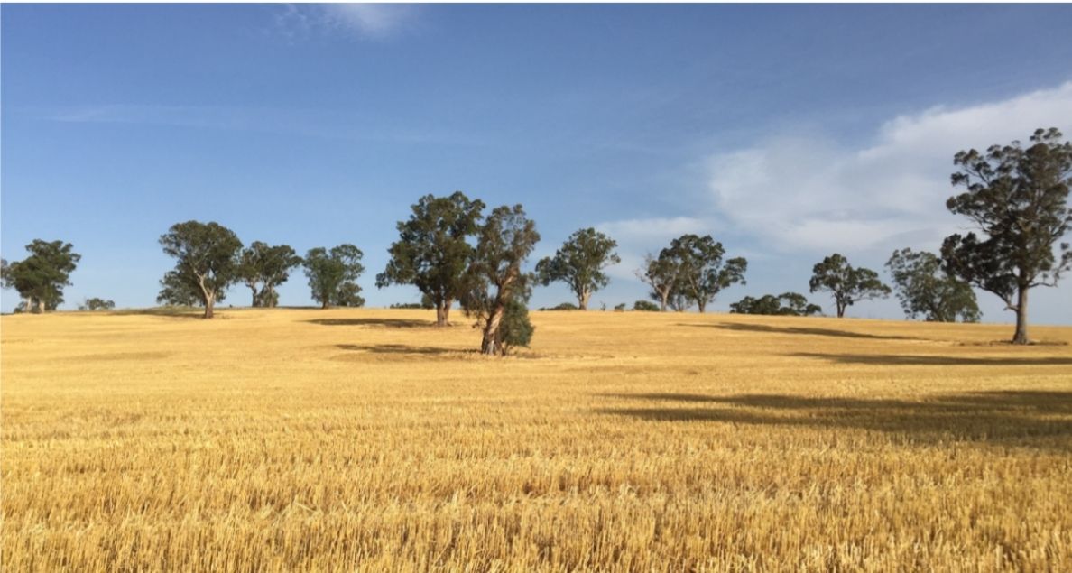 Rural Education and Communities