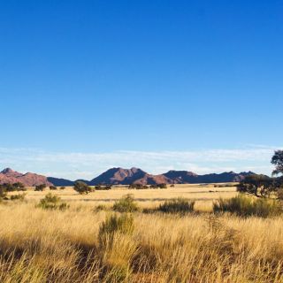 Grasslands and pockets of trees stretch away to the horizon, with distant hills