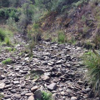 Stream