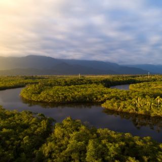 An elevated photo of sunrise over the Amazon with the river and several stream visible in the early light