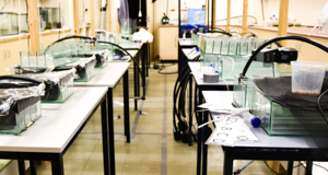 Freshwater Ecology Laboratory