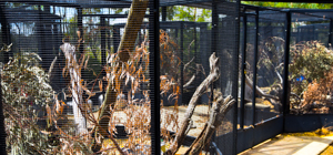 Glasshouse