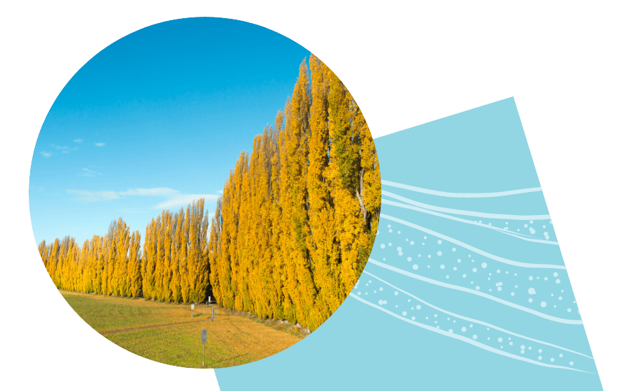 A banner image showing a health accomodation