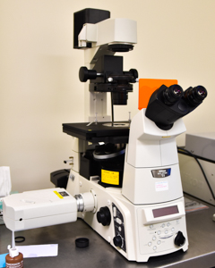 Wildlife Genetics Laboratory