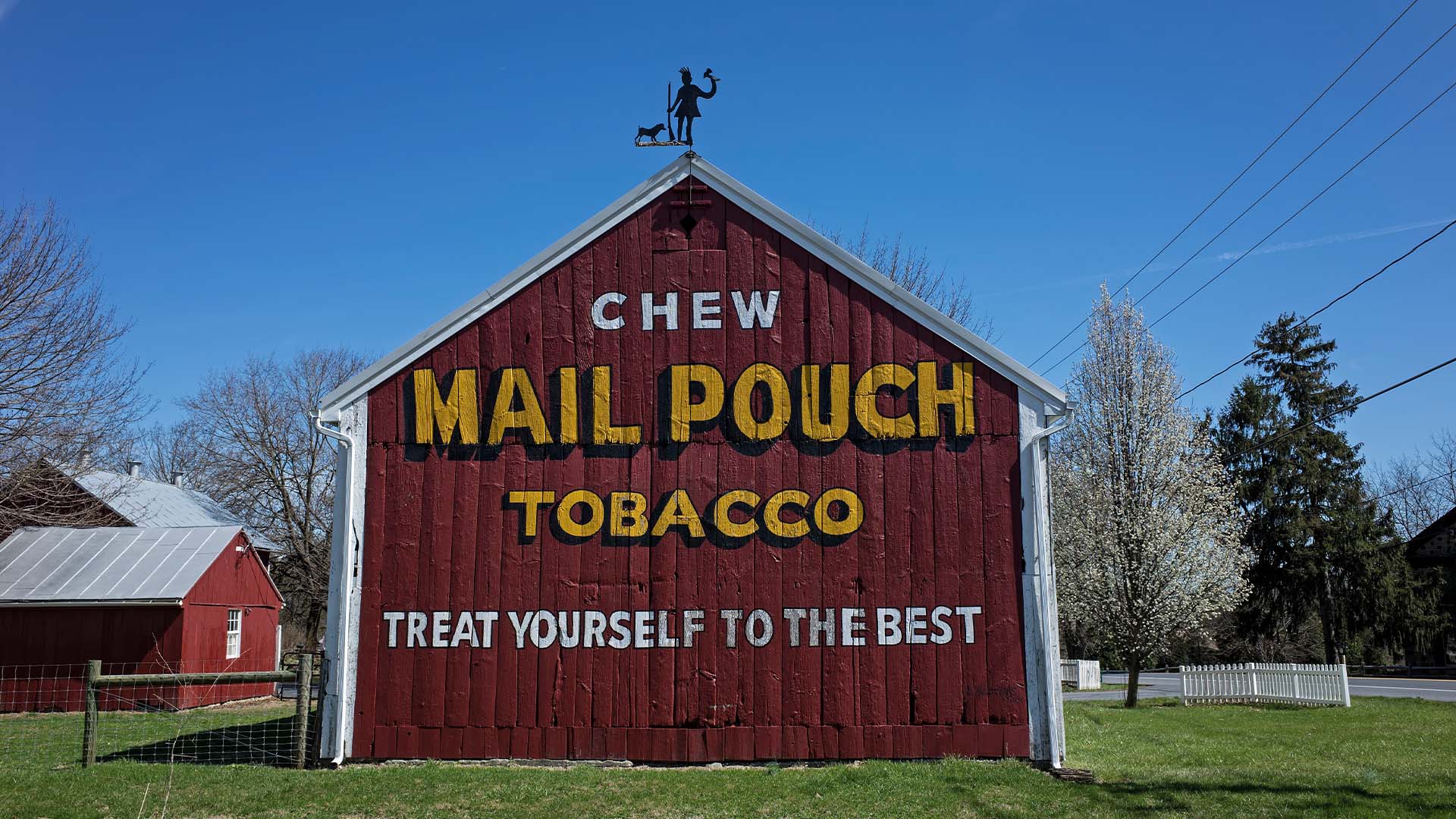 Ban smokeless tobacco