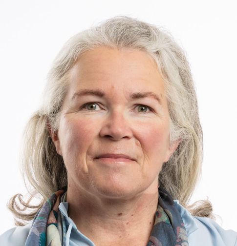 Ann Hill