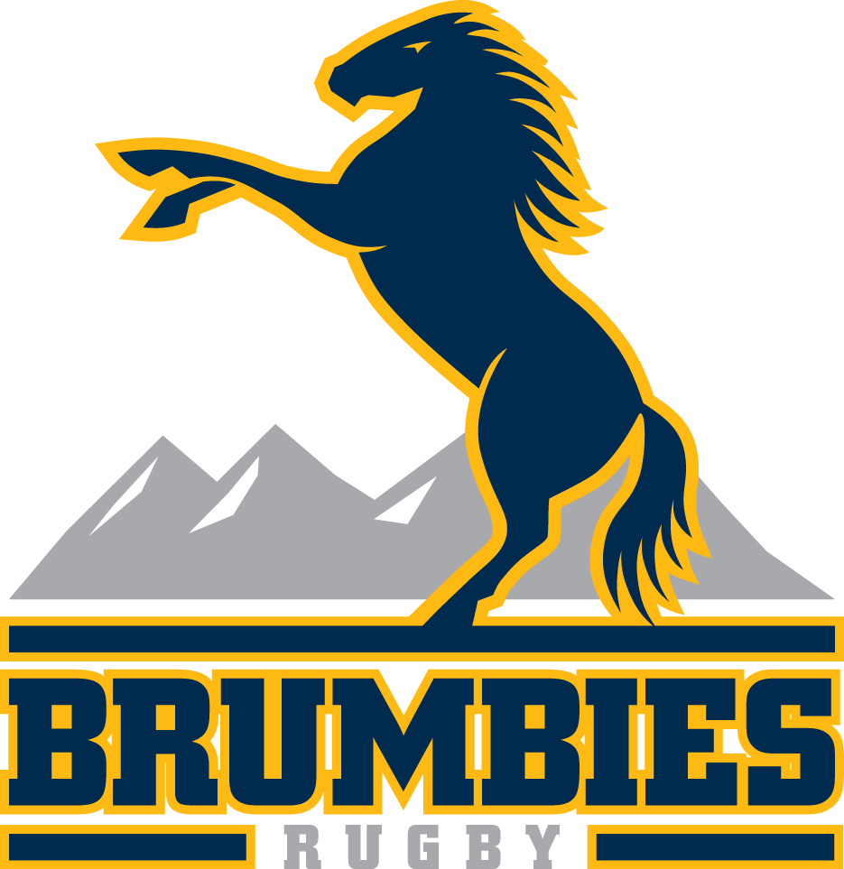 Brumbies logo